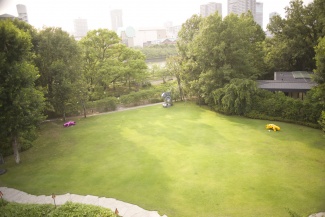 DSC 8492 0