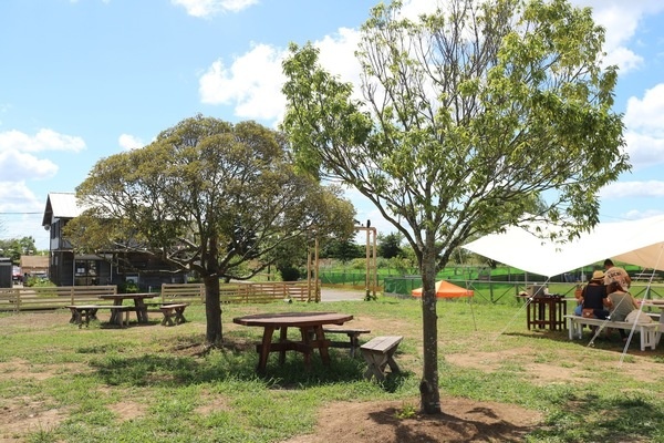 Kingfisher Garden