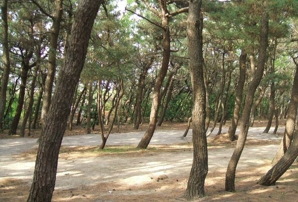 お台場公園キャンプ場