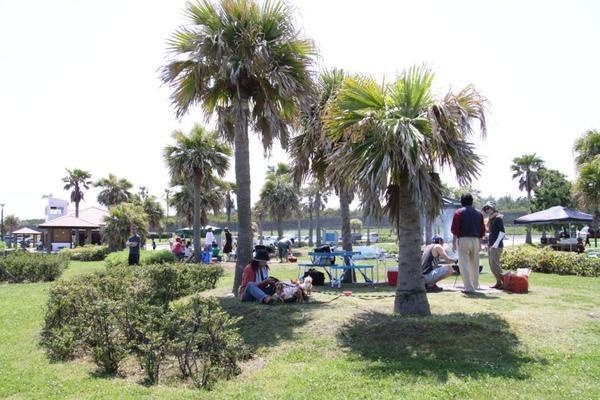 みやざき臨海公園 サンビーチ一ツ葉