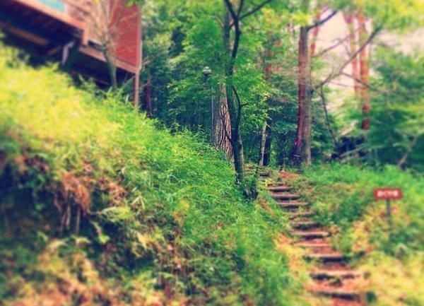 山城町森林公園
