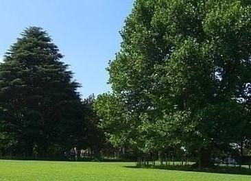 青葉の森公園バーベキューサービス