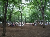 光が丘公園
