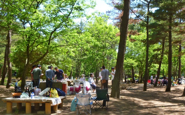 国営ひたち海浜公園 バーベキュー広場