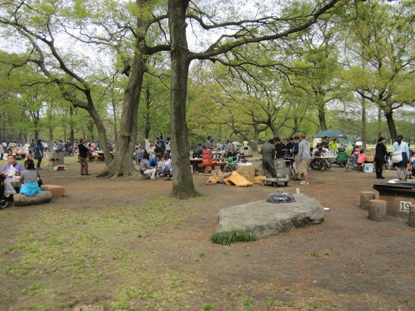 秋ヶ瀬公園 バーベキュー
