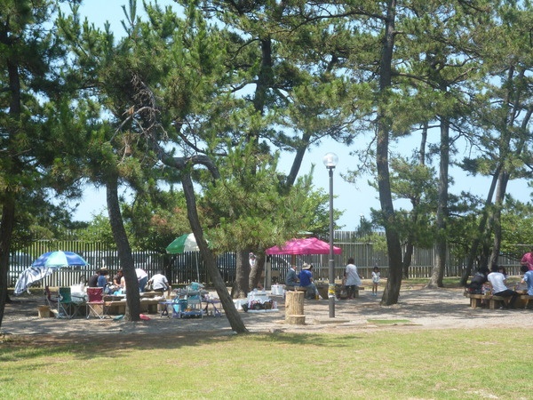 ふれあい健康広場