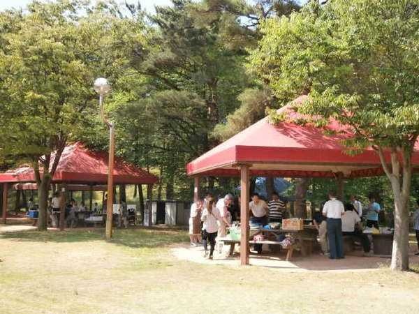 新潟県立紫雲寺記念公園