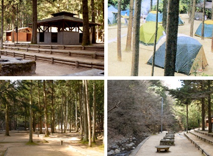 大滝山県民いこいの森