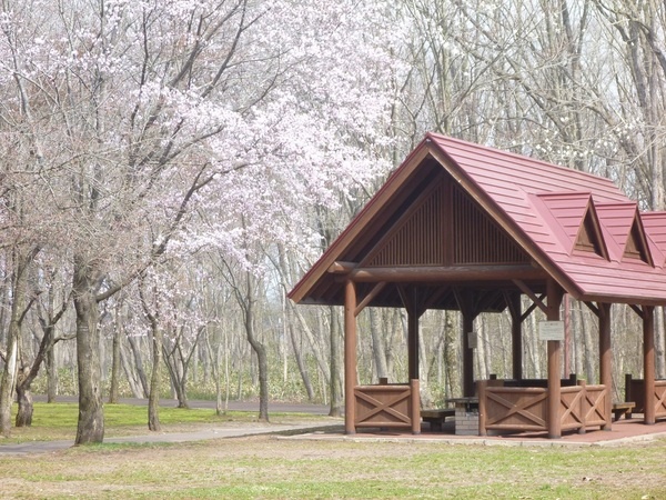 安平町鹿公園キャンプ場