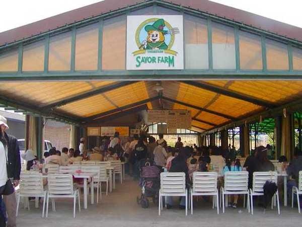 富田林市農業公園サバーファーム