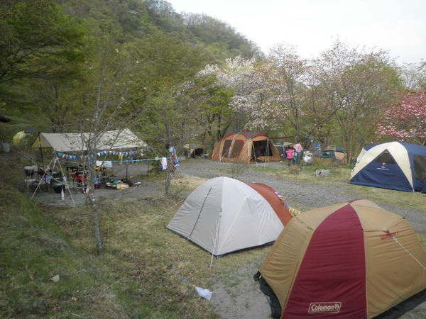 わらび平森林公園キャンプ場