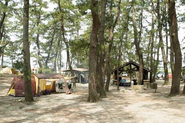園家山キャンプ場