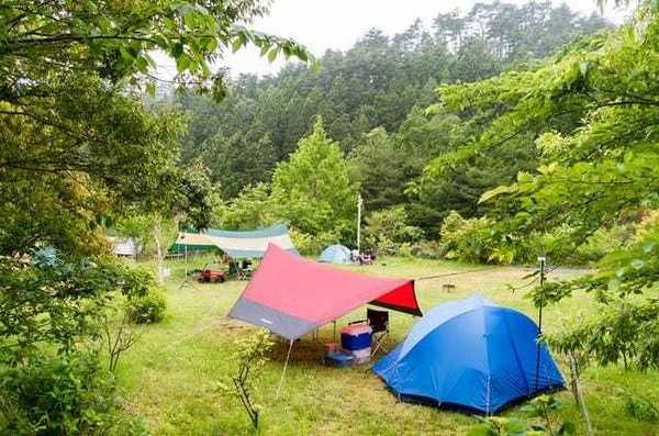 キャンピングビレッジ登米森林公園