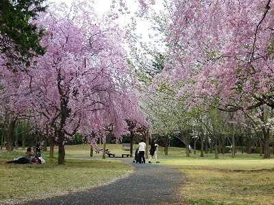 彩の森入間公園バーベキューガーデン