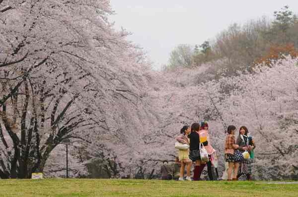 狭山稲荷山公園バーベキューガーデン