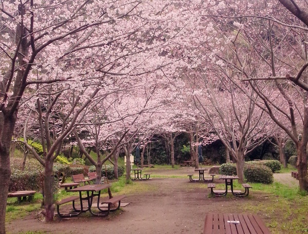 金沢自然公園バーベキュー広場