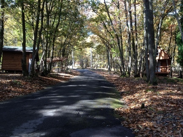 ファイブオーシャン奥琵琶湖キャンプ場