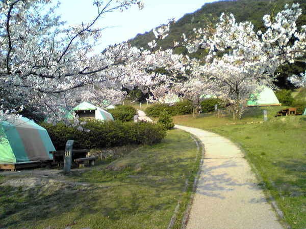 仙酔島キャンプ場